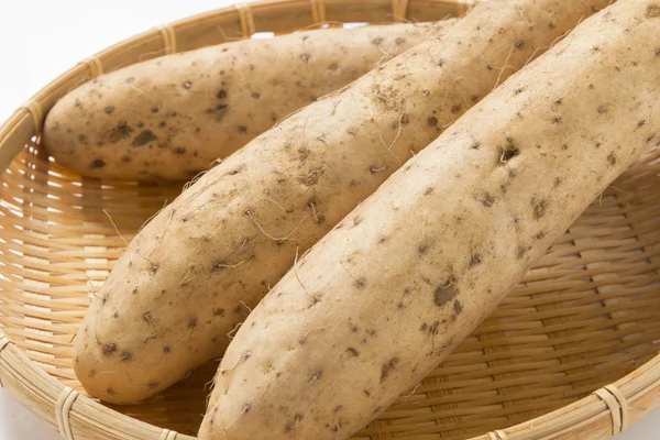 Yam　Too long　Chinese yam　　Wild yam — 图库照片